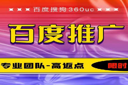 网络推广与竞价广告：双管齐下的策略案例